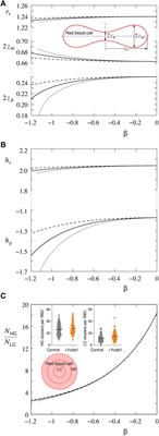 Membrane Localization of Piezo1 in the Context of Its Role in the Regulation of Red Blood Cell Volume